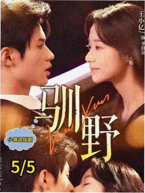 春日告白 电视剧封面